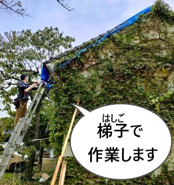 台風後にブルーシートで仮養生　熊本